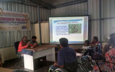 Training for Career in Public and Private Sector